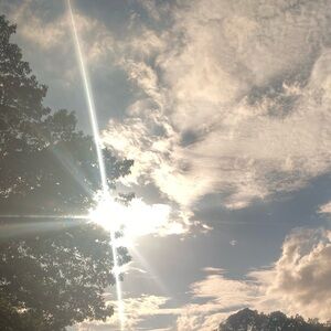 Meet your Posher, Niya